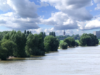rheinlandschaft_duesseldorf