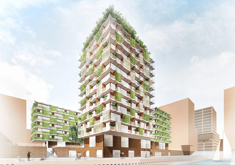 Neubauvorhaben Moringa in Hamburg