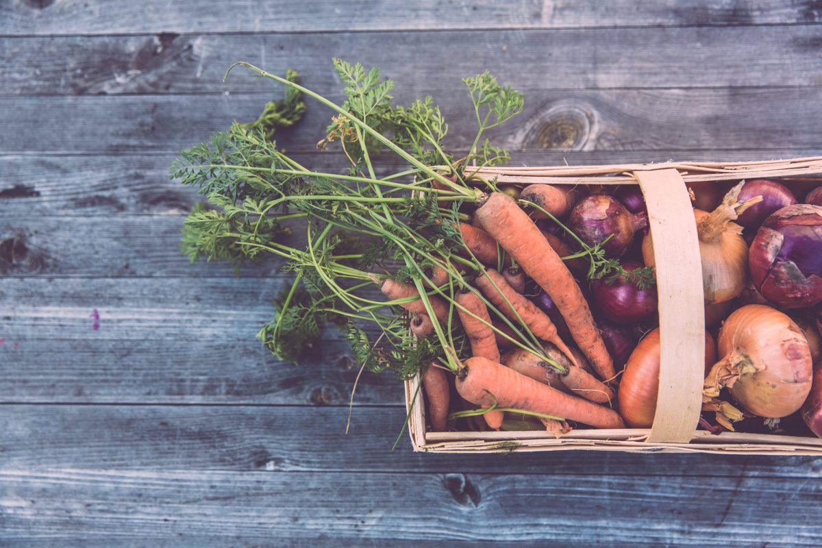 Säen und ernten: Urban Gardening in Berlin