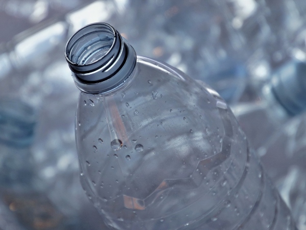 Winterschutz für Pflanze selber bauen mit Plastikflasche.