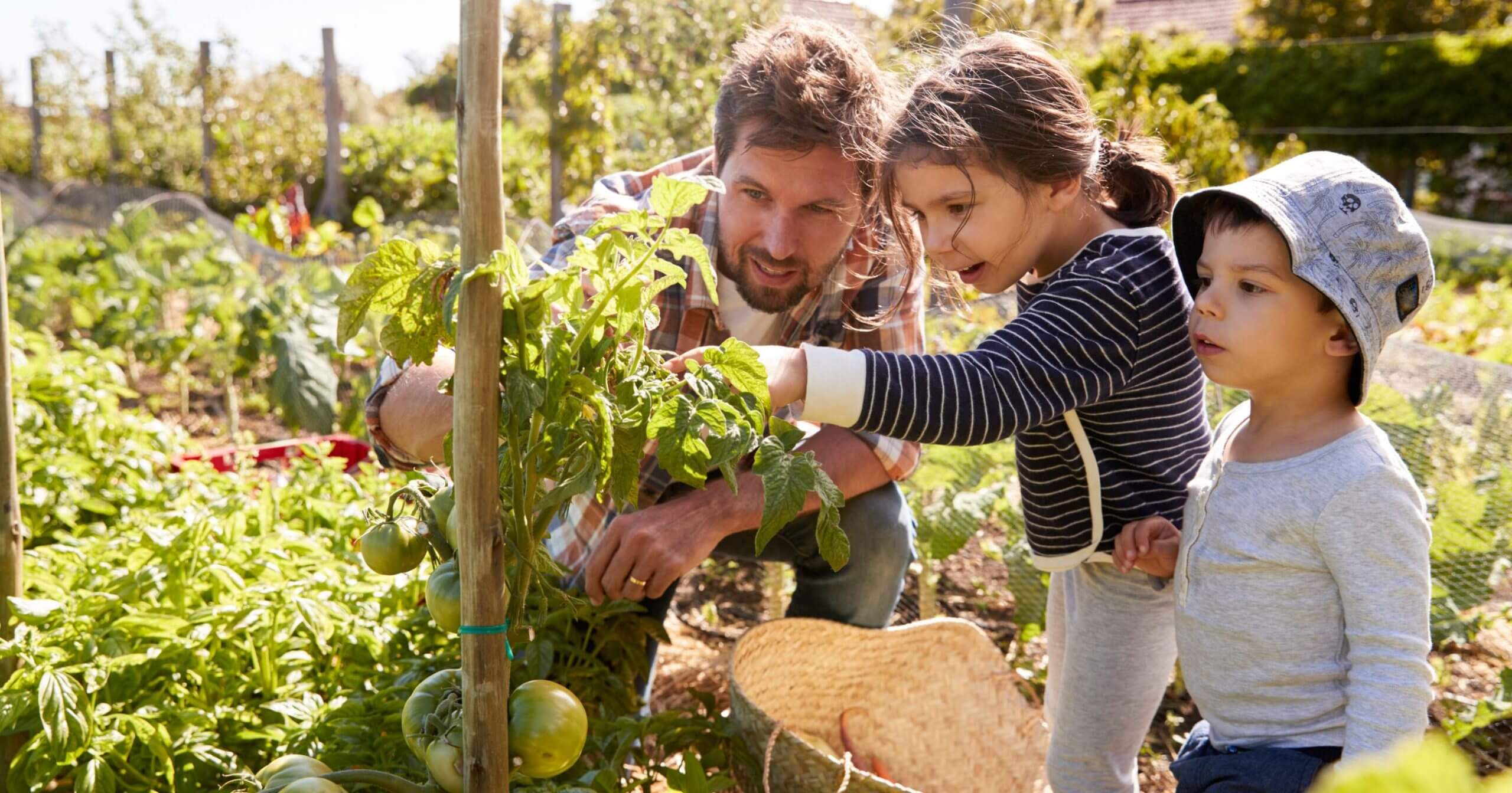 3 Tipps für den Familien-Garten