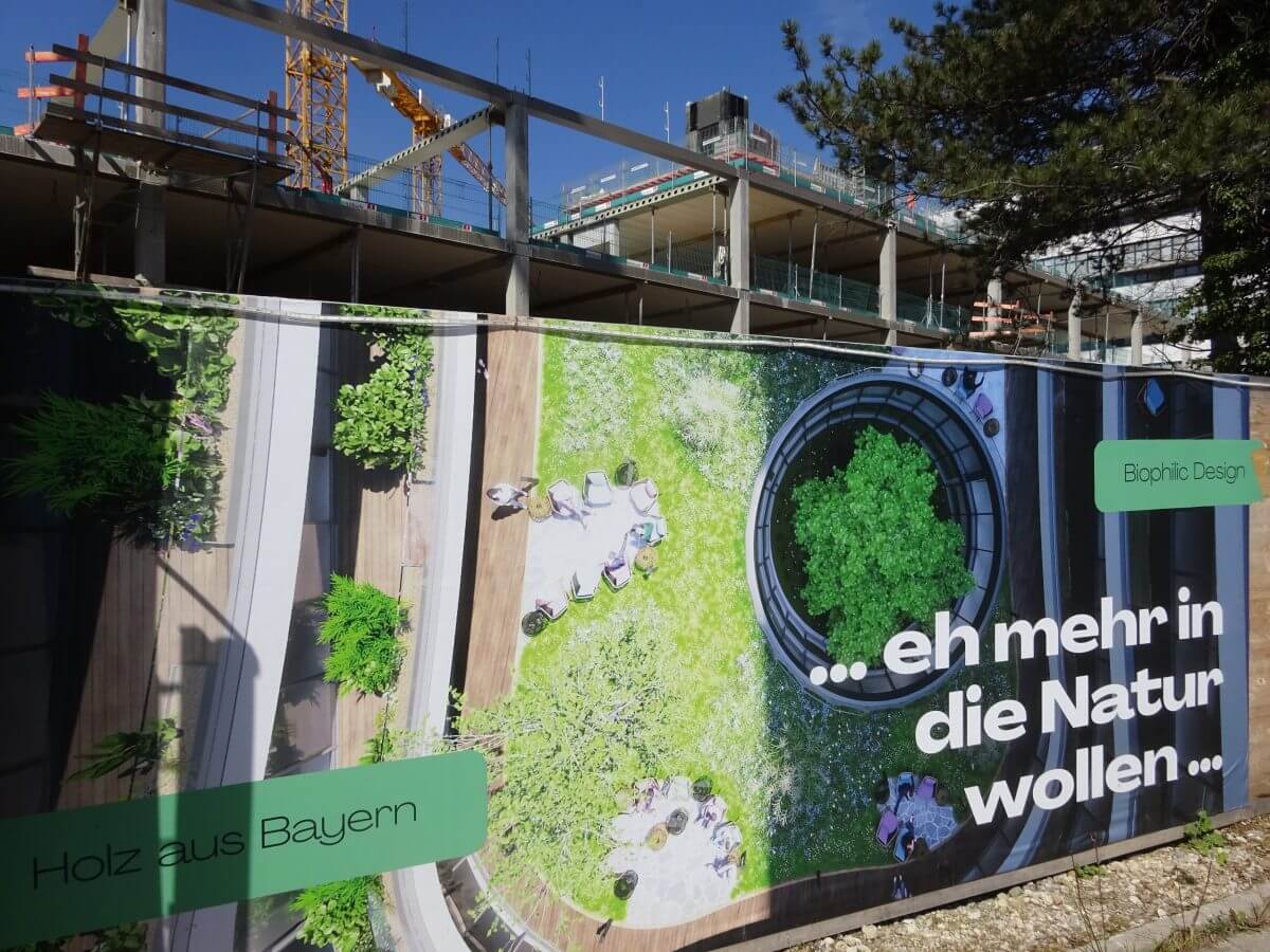 Gut fürs Klima: Der nachwachsende Rohstoff Holz bindet während des Wachstums der Bäume in den Bayrischen Wäldern CO₂.