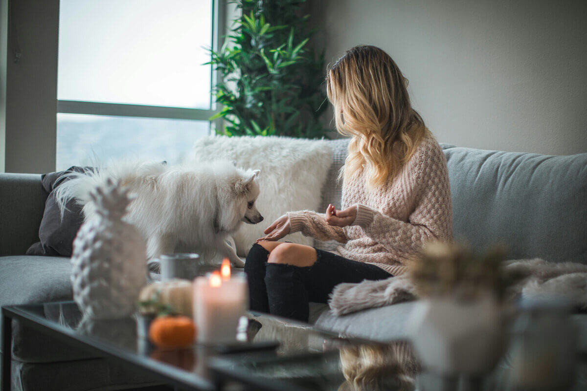 Frau mit Hund auf dem Sofa in schöner Neubauwohnung