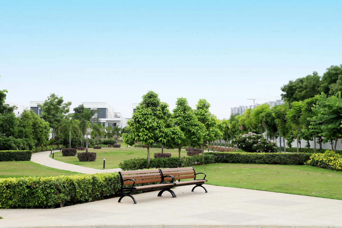 Park