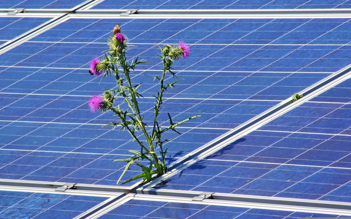 Photovoltaikanlage 